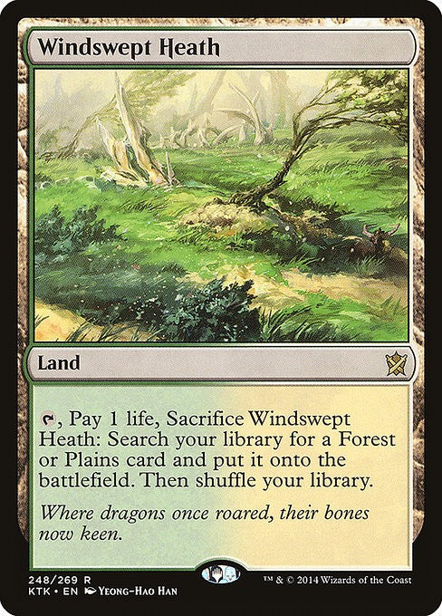 Windswept Heath - KTK - Near Mint MTG