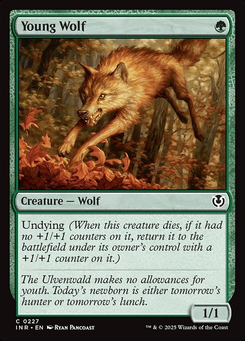 Young Wolf - INR - Near Mint MTG